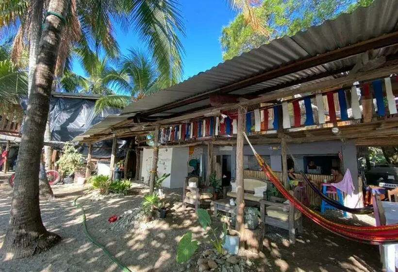 Aamiaismajoitus (B&B) Surfhost