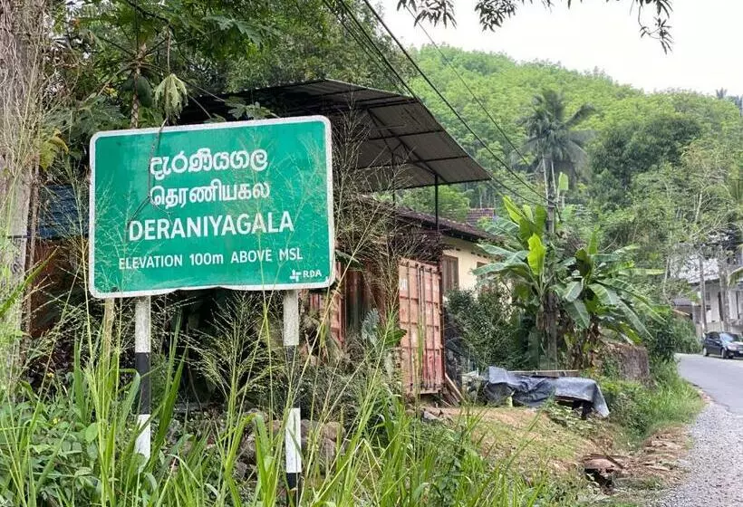 Hotelli Forest Shade Eco Resort