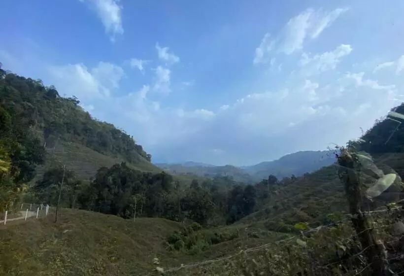 Hotelli Forest Shade Eco Resort