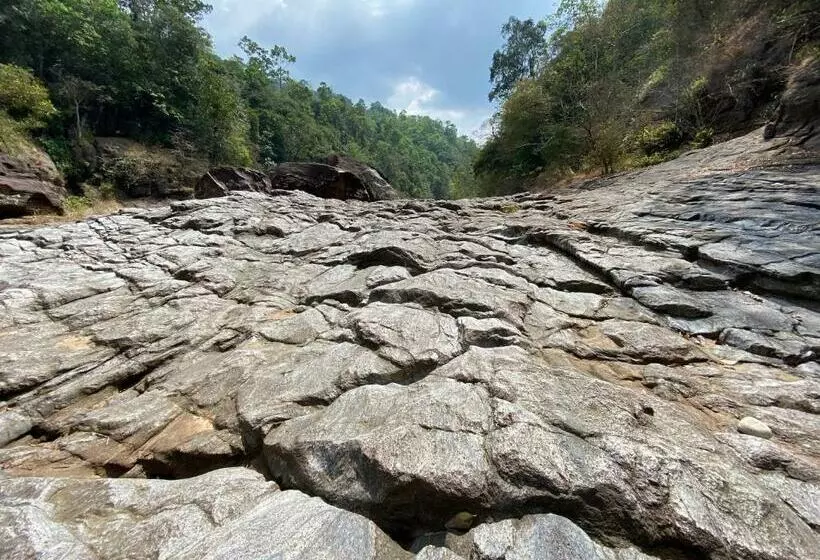 Hotelli Forest Shade Eco Resort