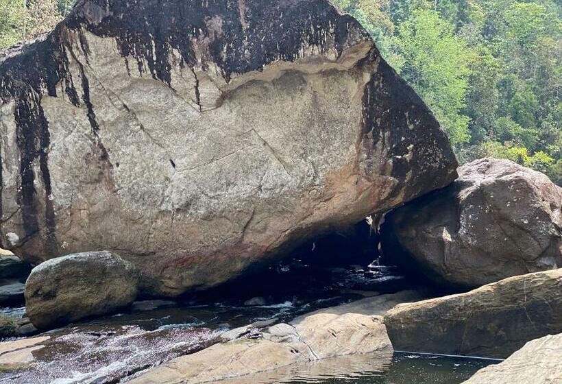 Hotel Forest Shade Eco Resort