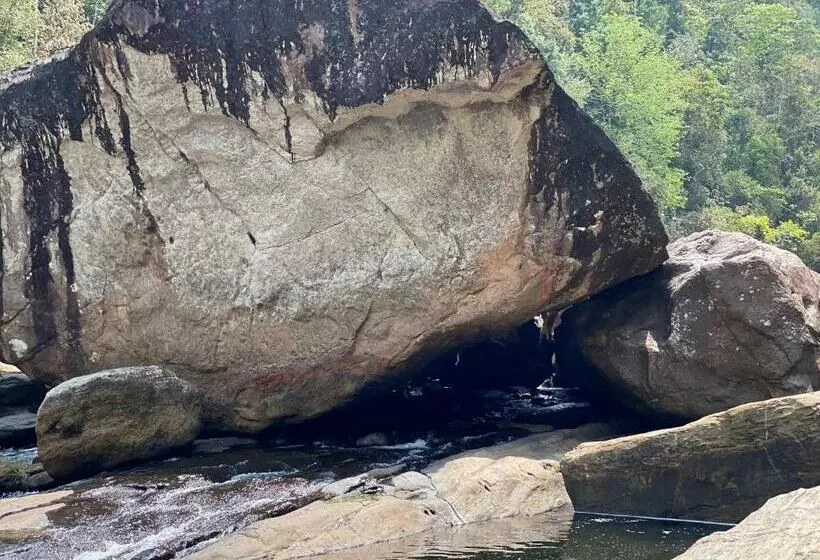 Hotelli Forest Shade Eco Resort