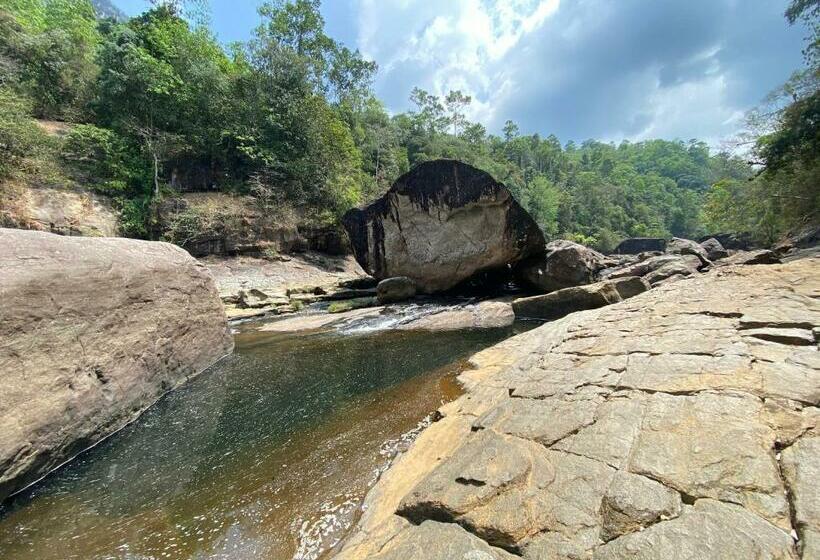Hotel Forest Shade Eco Resort
