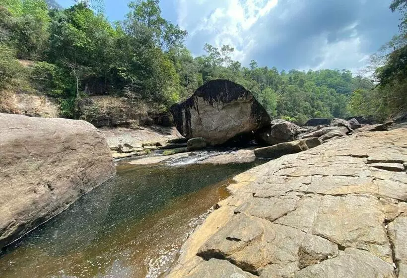 Hotelli Forest Shade Eco Resort