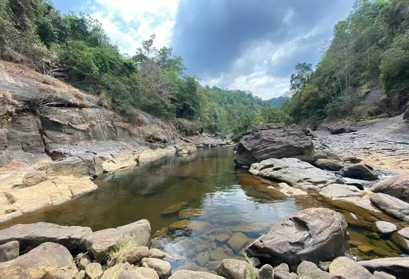 Hotelli Forest Shade Eco Resort