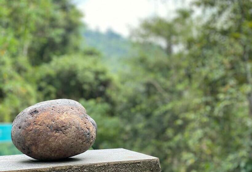 Hotel Forest Shade Eco Resort