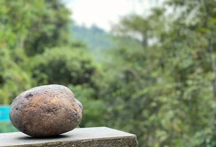 Hotelli Forest Shade Eco Resort