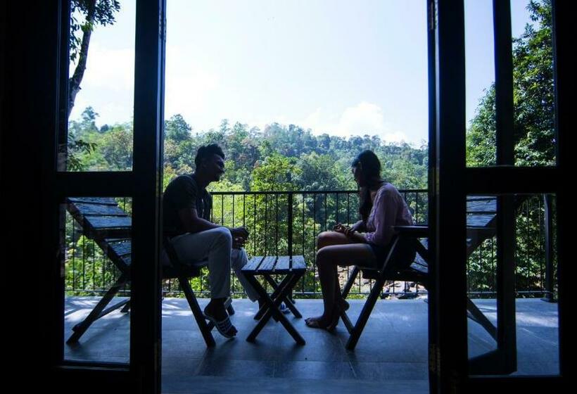 Hotel Forest Shade Eco Resort