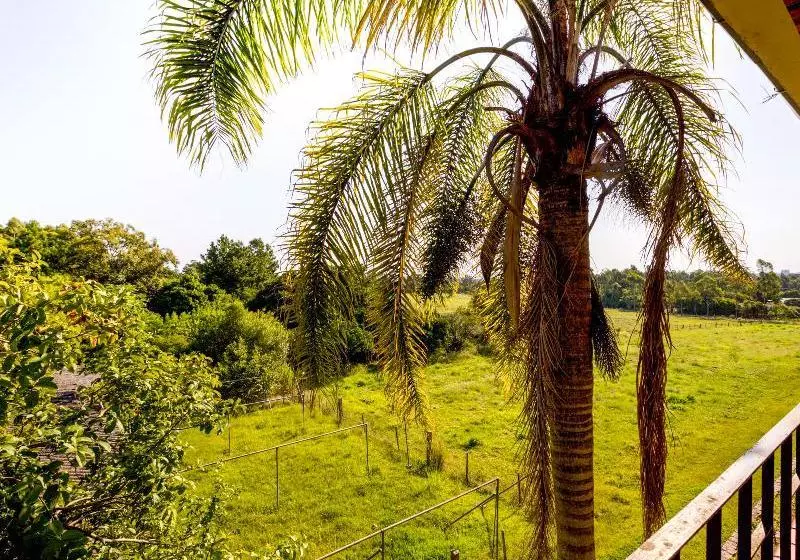 Hotel Caminhos De Nazaré