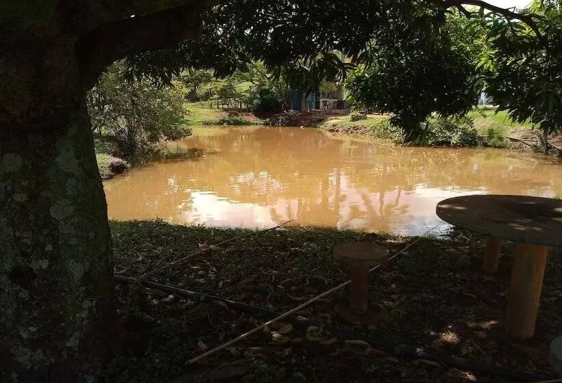 ホテル Pousada Roda D água