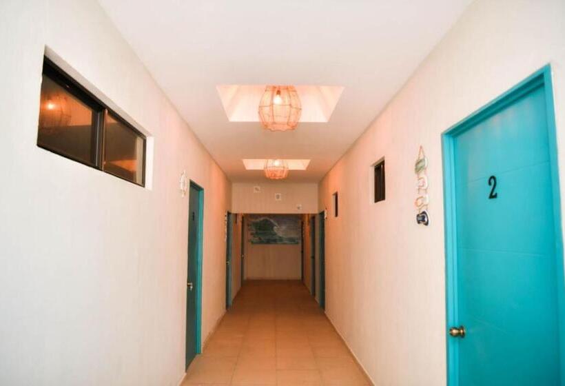 酒店 Reef On The Water