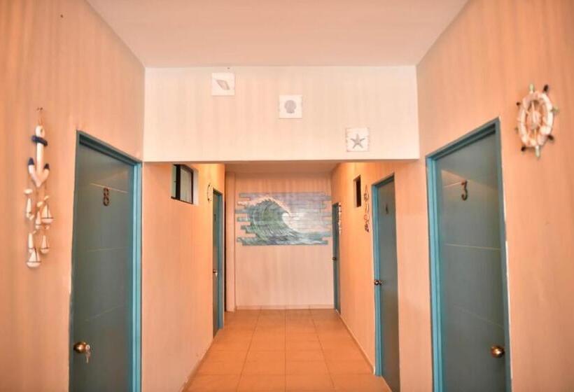 酒店 Reef On The Water