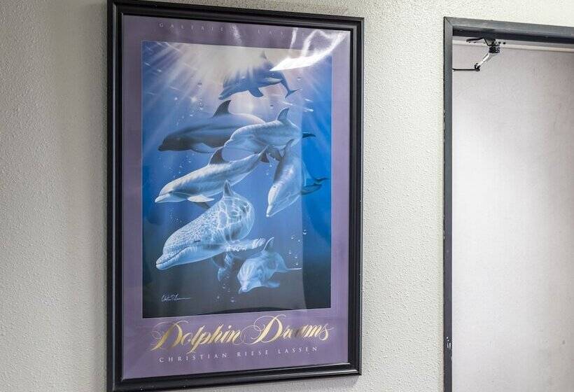 בית מלון כפרי Tabist Raika Hiroshima Miyoshi