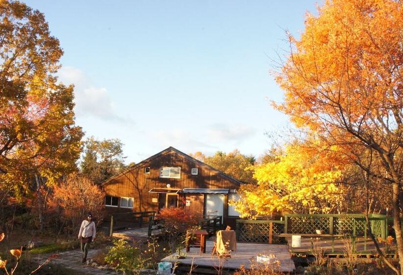 Pensió Gallery Hara And Guest House