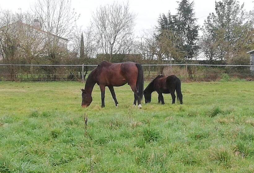 膳宿费 La Colline Des Hauts Bocages Vendéens
