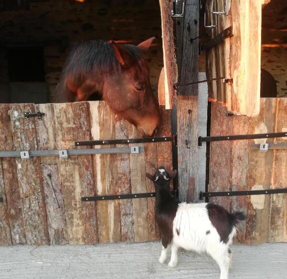 膳宿费 La Colline Des Hauts Bocages Vendéens