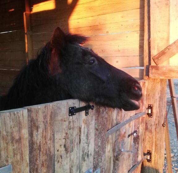 膳宿费 La Colline Des Hauts Bocages Vendéens