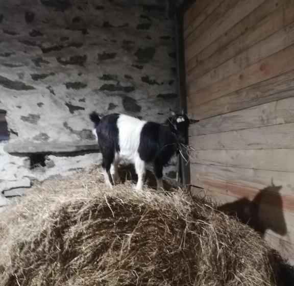 膳宿费 La Colline Des Hauts Bocages Vendéens