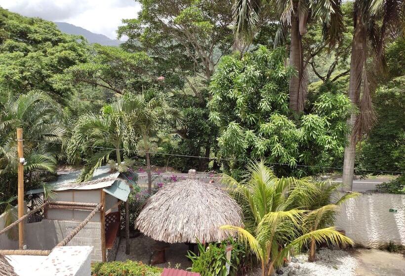 Pansiyon Manakin Tayrona