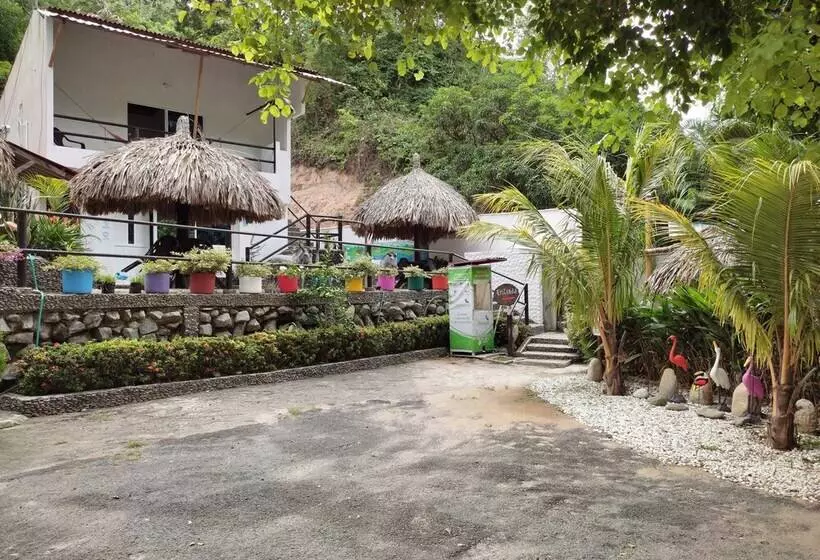 ペンション Manakin Tayrona