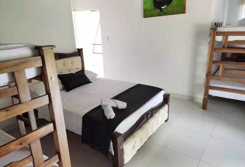 ペンション Manakin Tayrona