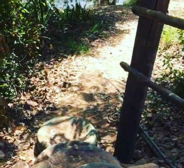 פנסיון Pousada Ponte Da Ceroula