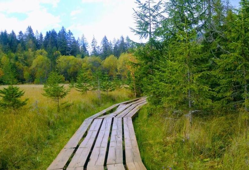 Apartmány Goral Oravice