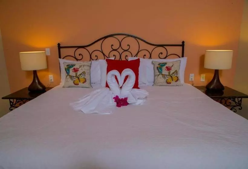 Aamiaismajoitus (B&B) Cabanas Vista La Ribera