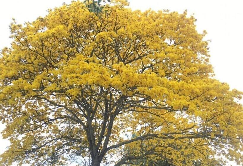 민박 C&h Campestre El Oasis