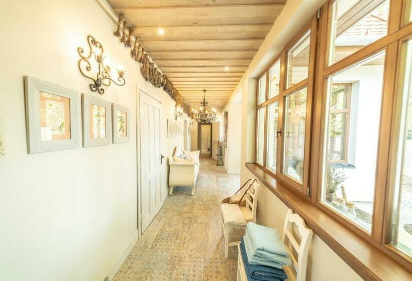 Bed & Breakfast Herba Ház