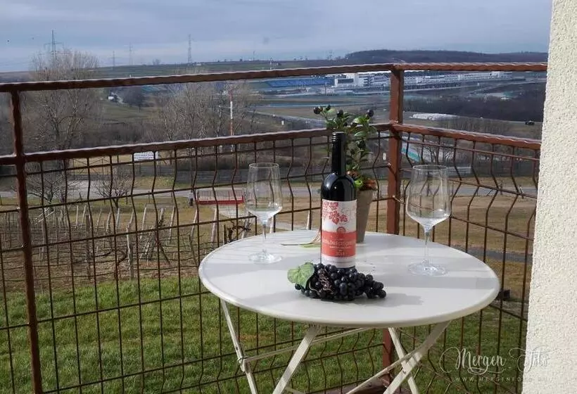 ベッドアンドブレックファースト Kamarás Ring House