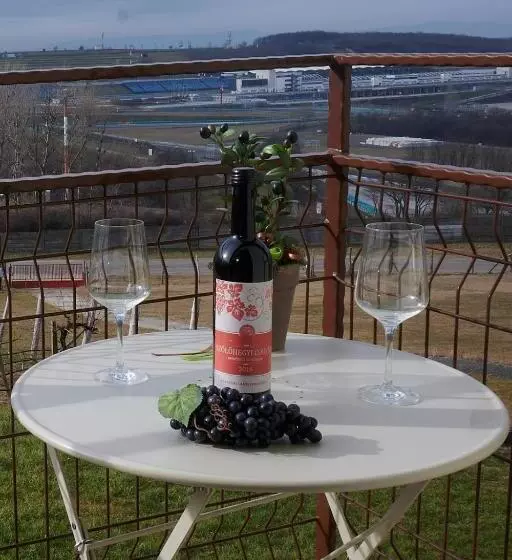 ベッドアンドブレックファースト Kamarás Ring House