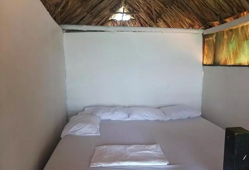 Hotelli Zulu Hostal