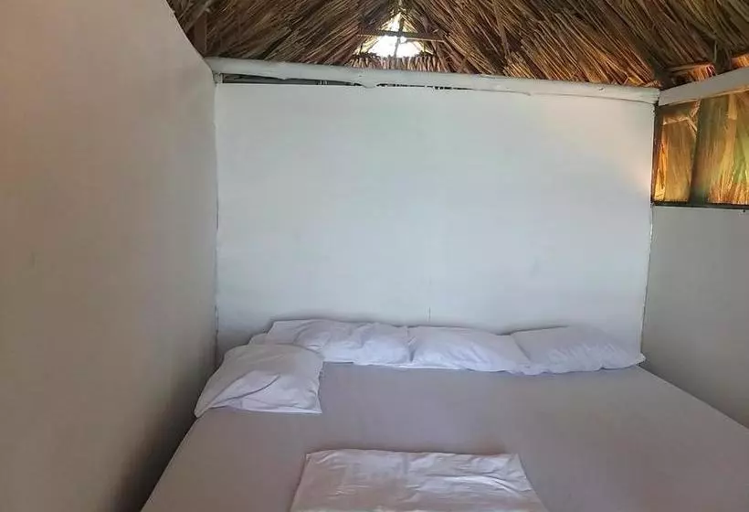 Hotelli Zulu Hostal