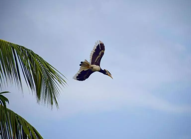 Majatalo Pebble Bay Home Stay