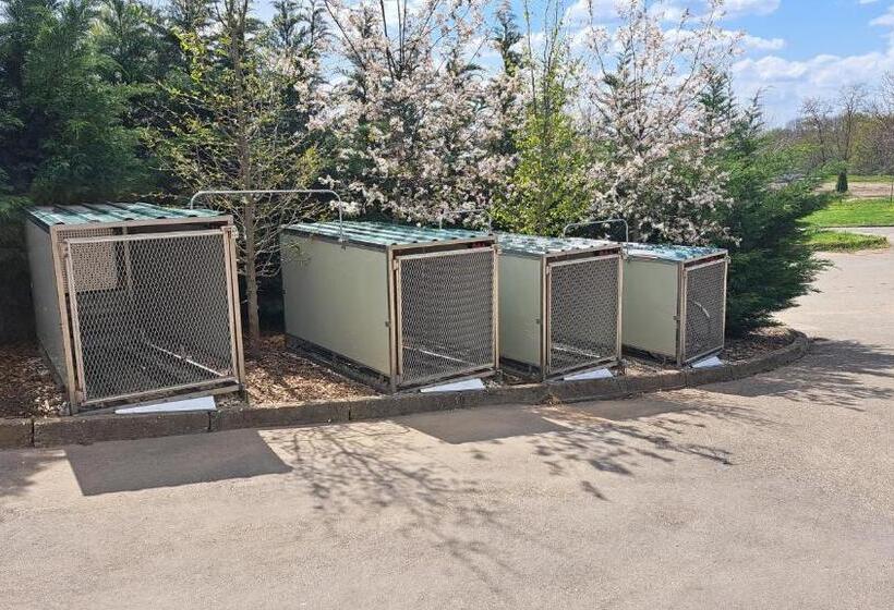 膳宿费 Penzion Starý Dvůr