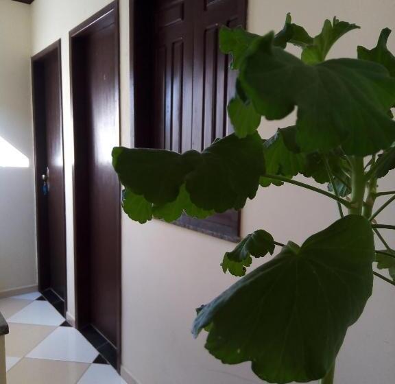 ユースホステル Pousada Tio Sinhô E Tia Sinhá