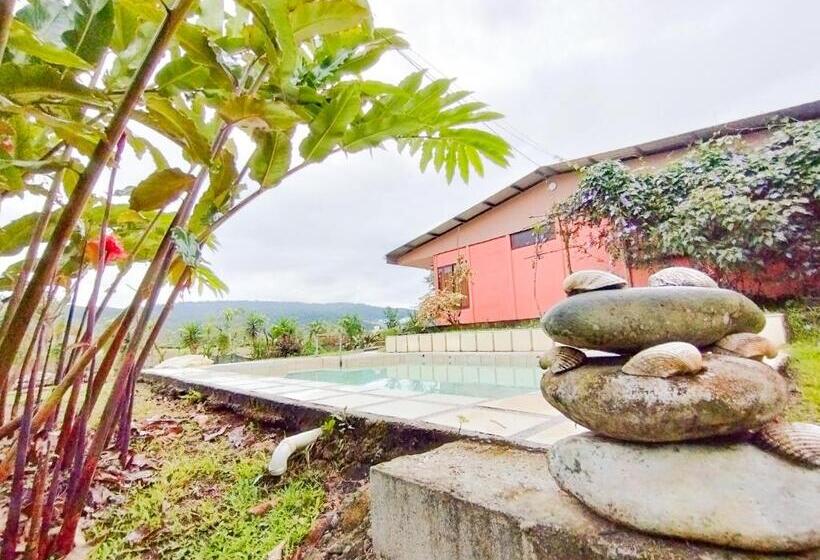 住宿加早餐 Hospedaje Luis & Ana