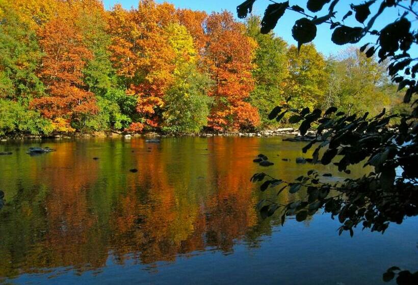 Bed and Breakfast L élassier