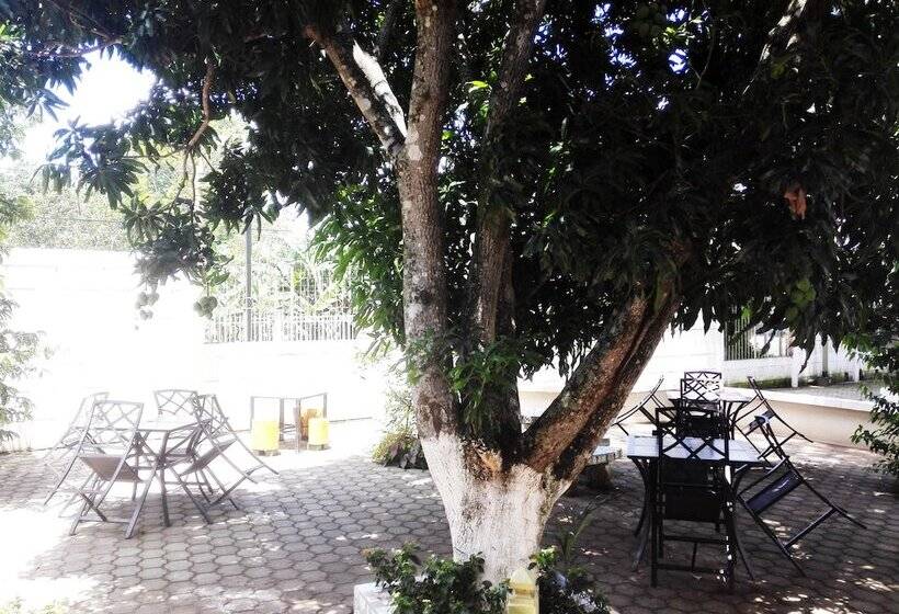 فندق Restaurante, Cigar Bar, Whisky Lounge, Hostal Suite Dos Visiones