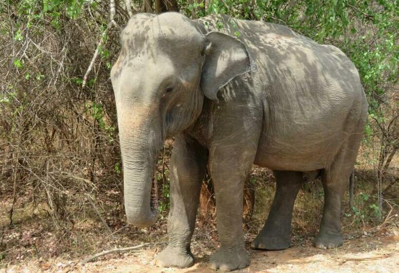 Szálloda Sahana Retreat