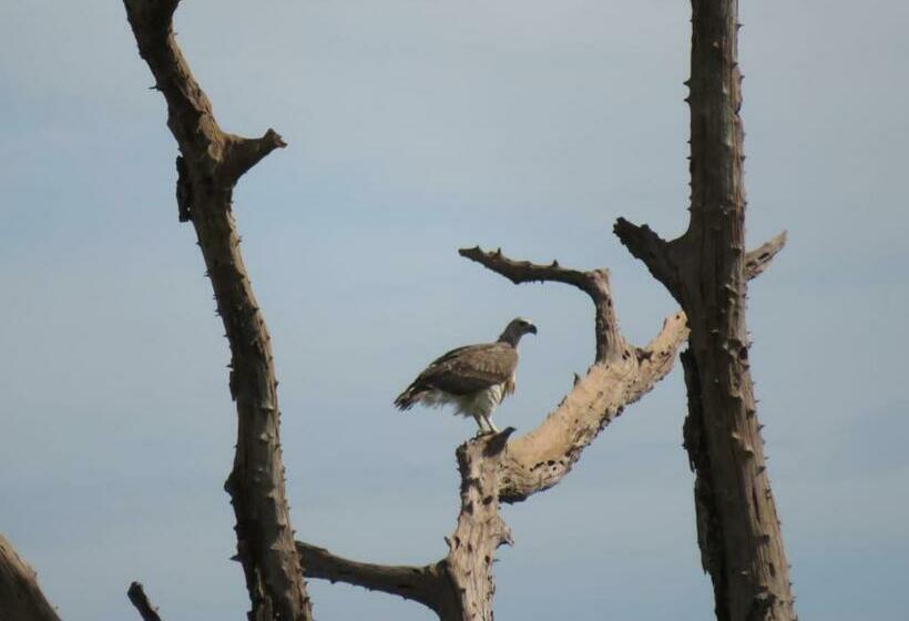Szálloda Sahana Retreat