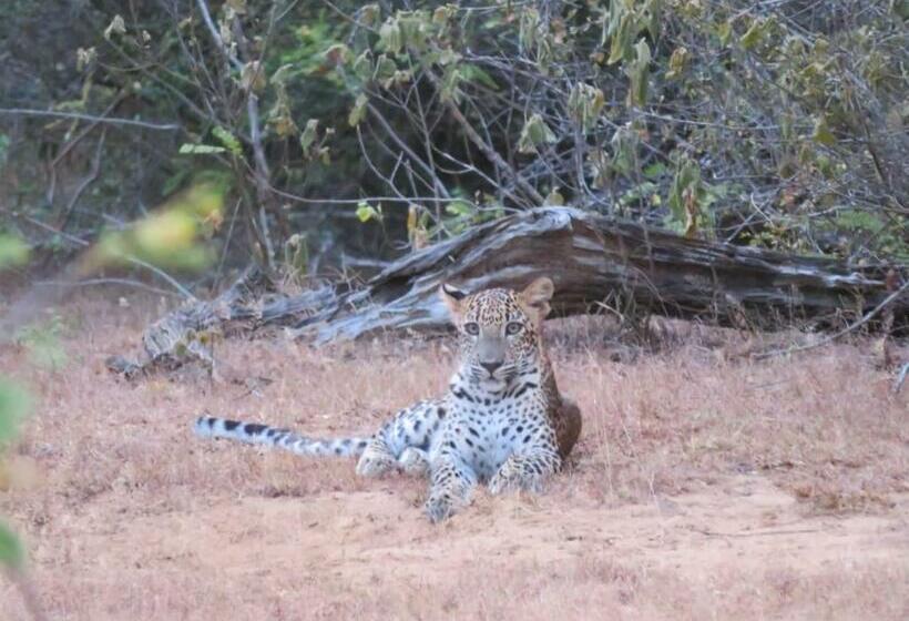 Szálloda Sahana Retreat