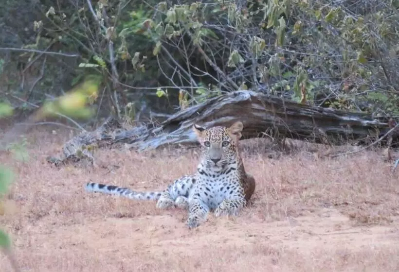 هتل Sahana Retreat