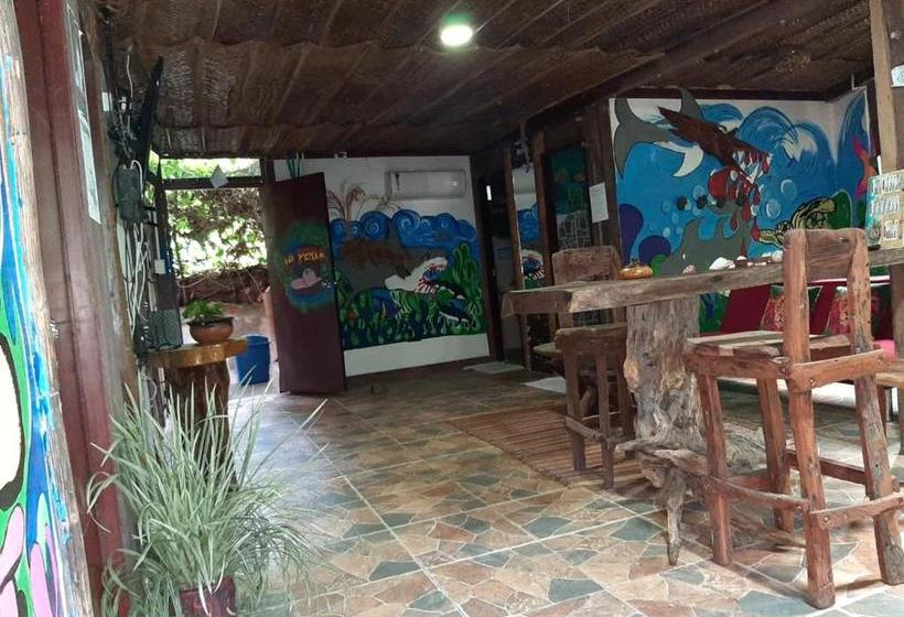 ペンション Eco Hostal La Perla Tayrona