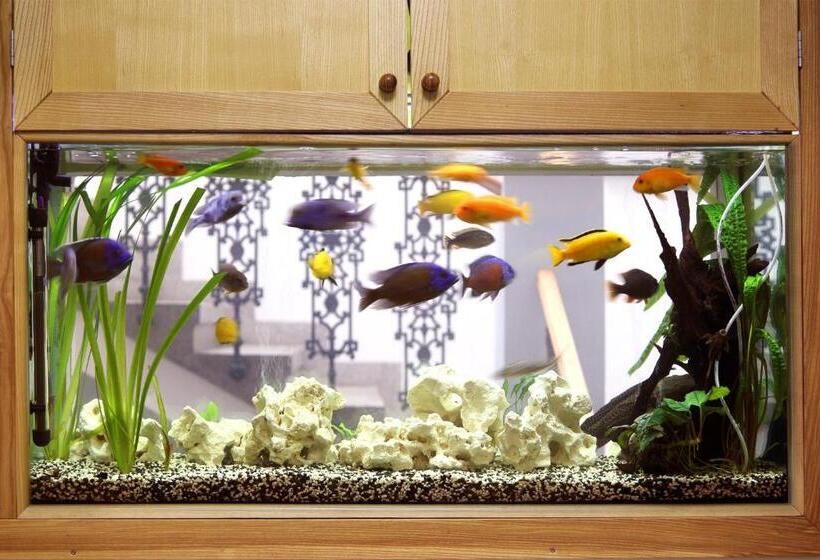 ペンション Penzion Martina