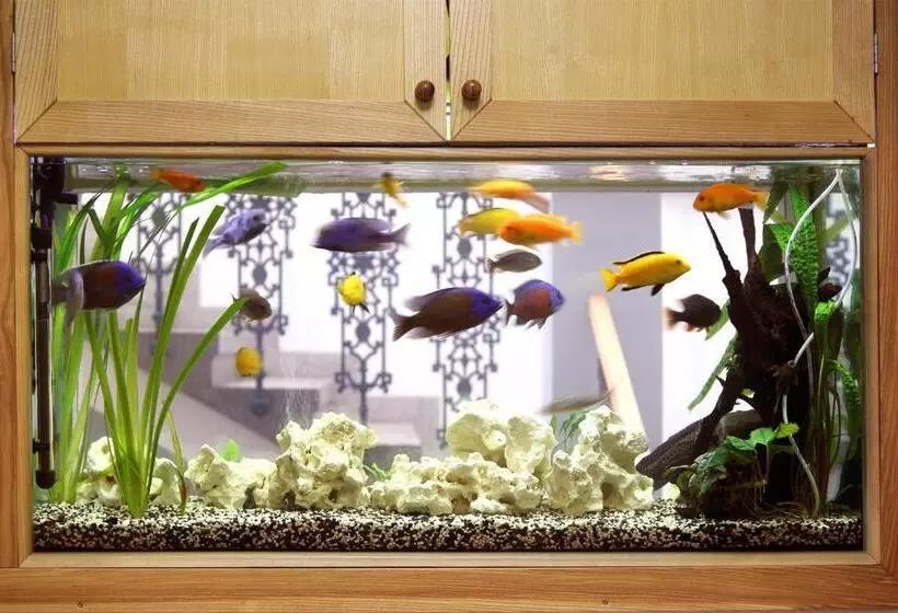 Majatalo Penzion Martina