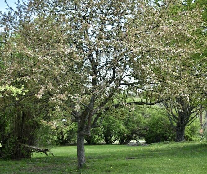 Harbour House Inn B&b