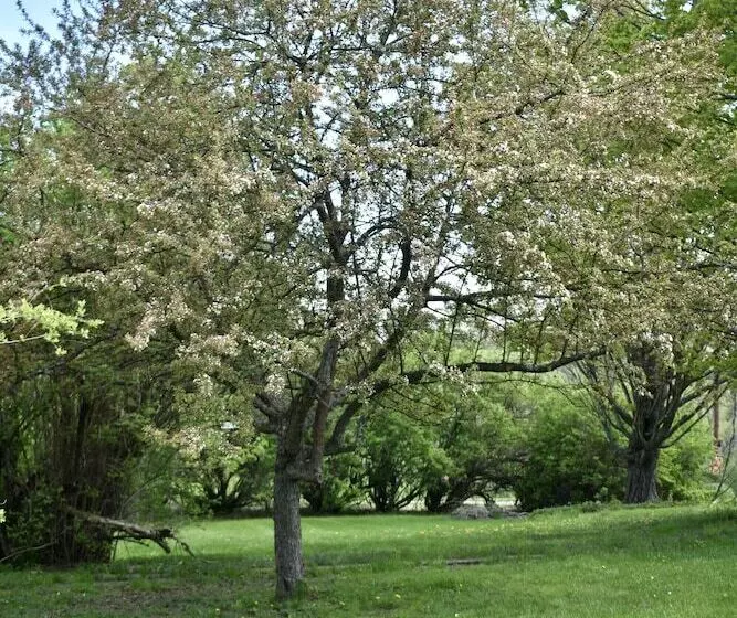 Harbour House Inn B&b