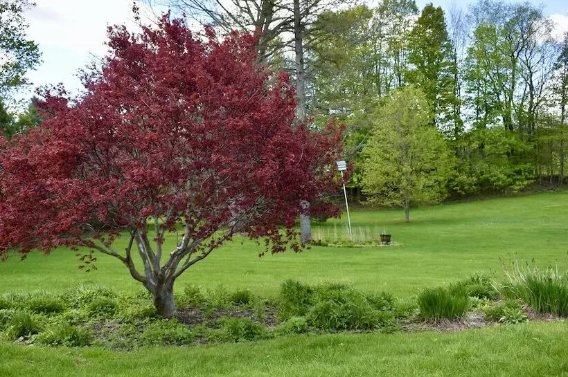 Harbour House Inn B&b